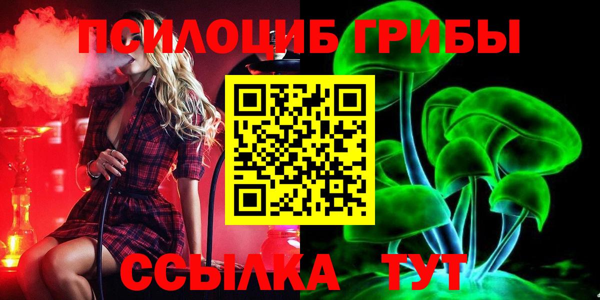 Галлюциногенные грибы Psilocybine cubensis Белогорск